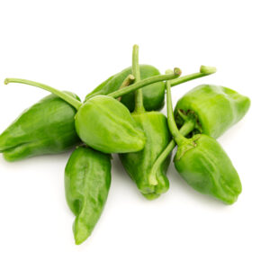 PADRON