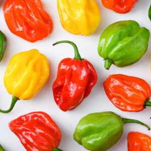 HABANERO CHILLIES