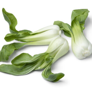 SHANGAI PAK CHOI